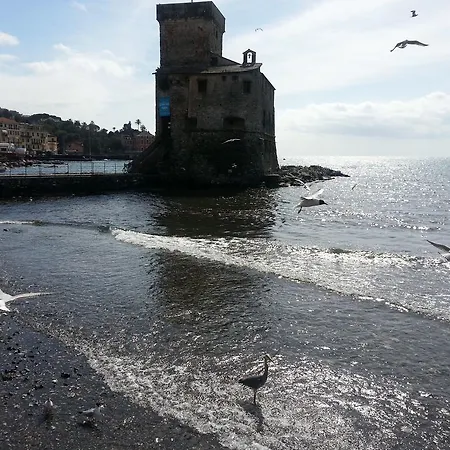 Il Nido *